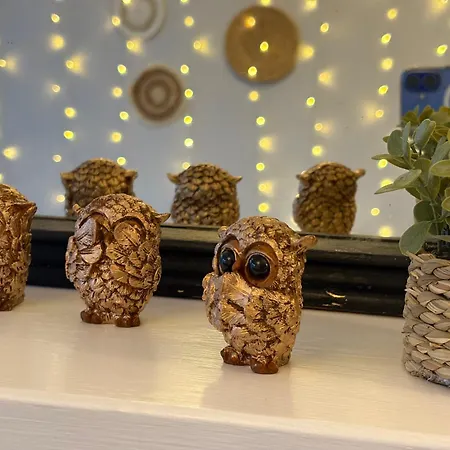 The Nordic Nook Holiday home York